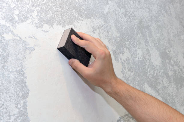 Professional Mold Removal in Mishawaka, IN
