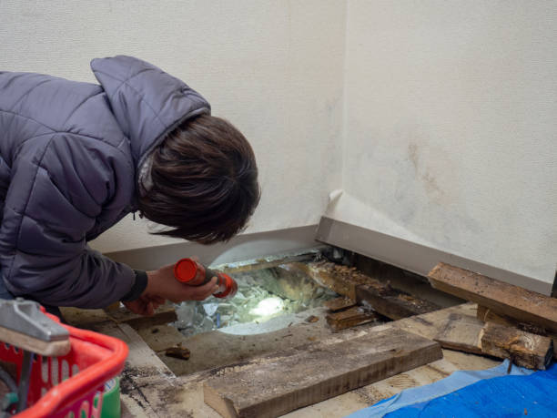 Best Crawl Space Mold Remediation  in Mishawaka, IN