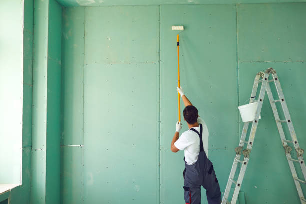 Best Basement Mold Removal  in Mishawaka, IN