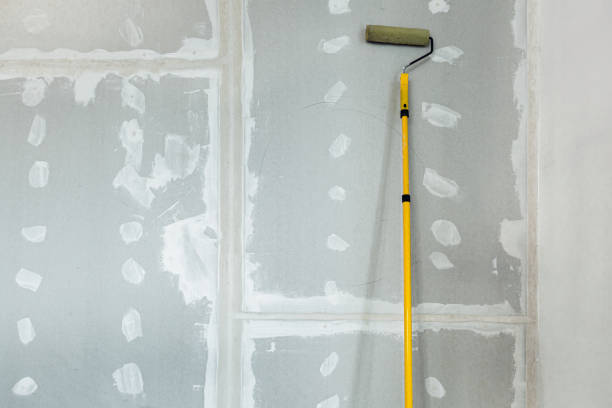 Best Attic Mold Removal  in Mishawaka, IN
