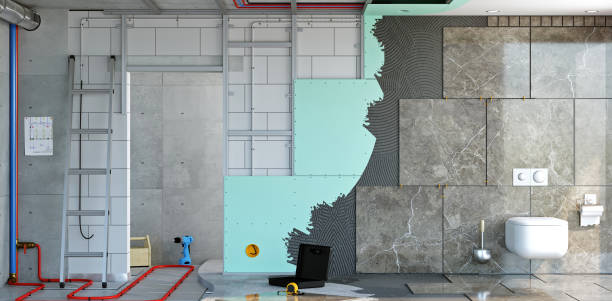 Best Mold Damage Restoration  in Mishawaka, IN