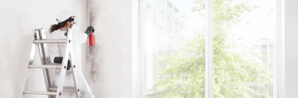 Best Dehumidification Services  in Mishawaka, IN