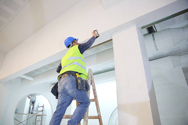 Best Forensic Mold Investigation  in Mishawaka, IN