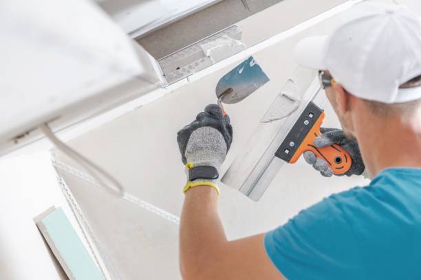 Best Residential Mold Inspection & Testing  in Mishawaka, IN
